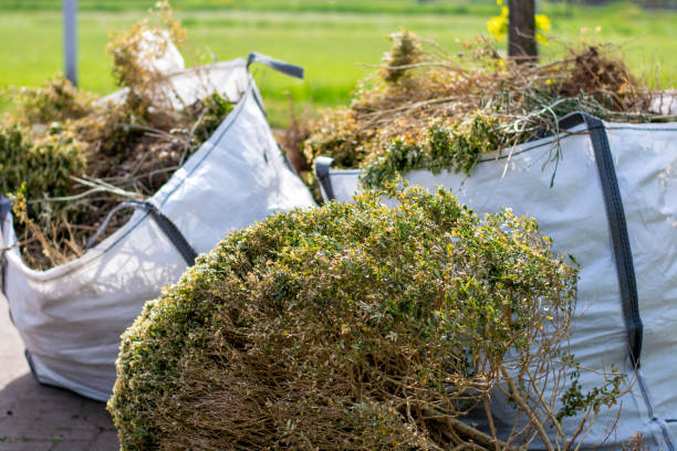 Best Construction Debris Removal  in Palm Beach Gardens, FL
